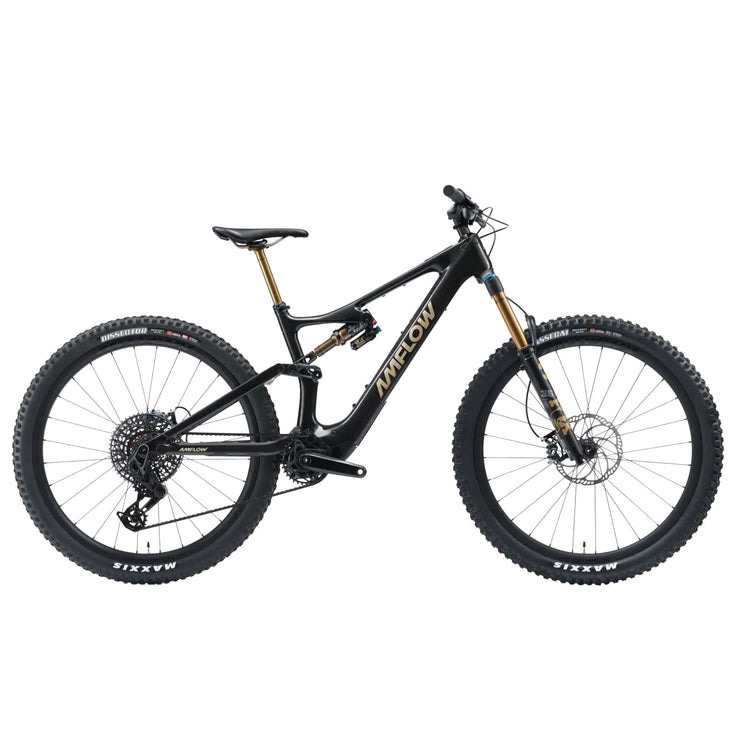 PL Carbon Pro eBike